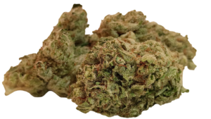 GORILLA GLUE (INDICA)