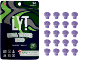 LYT OUTSIDE THE BOX MUSHROOM GUMMIES: 5.00G (20CT)