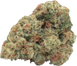Skywalker: Most premium  Og Indica