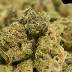 PLATINUM LGG HYBRID